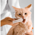 HICCPET 寵物潔齒手指 50片裝 - 無香（貓狗適用）